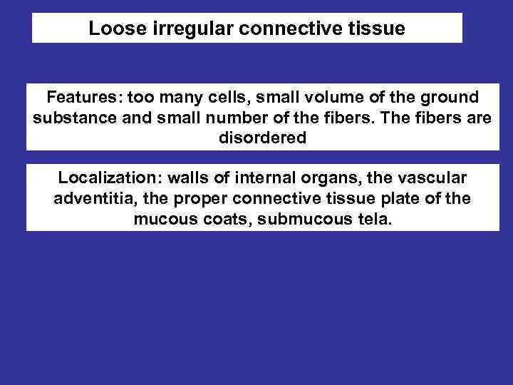 Loose irregular connective tissue Features: too many cells, small volume of the ground substance