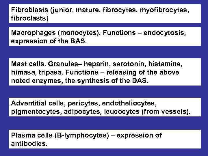 Fibroblasts (junior, mature, fibrocytes, myofibrocytes, fibroclasts) Macrophages (monocytes). Functions – endocytosis, expression of the