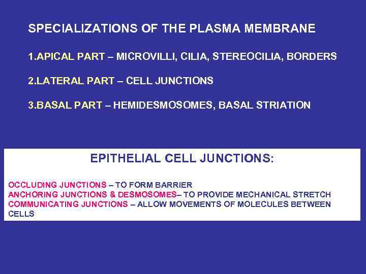 SPECIALIZATIONS OF THE PLASMA MEMBRANE 1. APICAL PART – MICROVILLI, CILIA, STEREOCILIA, BORDERS 2.