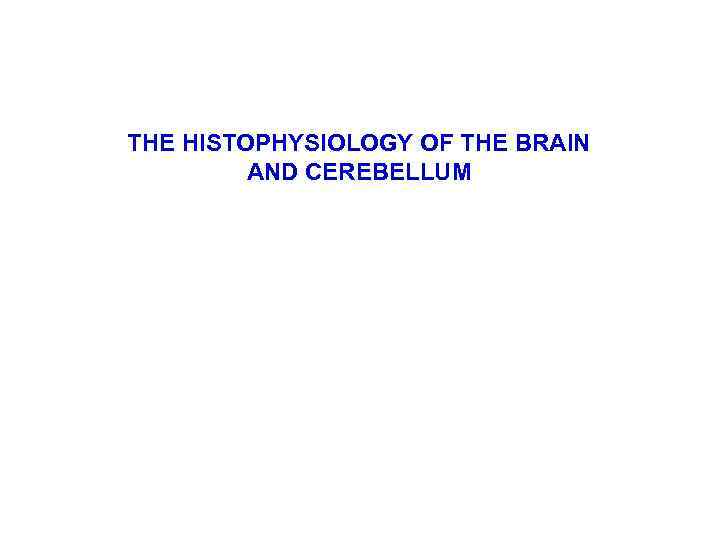 THE HISTOPHYSIOLOGY OF THE BRAIN AND CEREBELLUM 