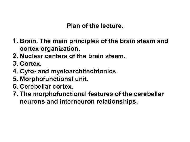 Plan of the lecture. 1. Brain. The main principles of the brain steam and