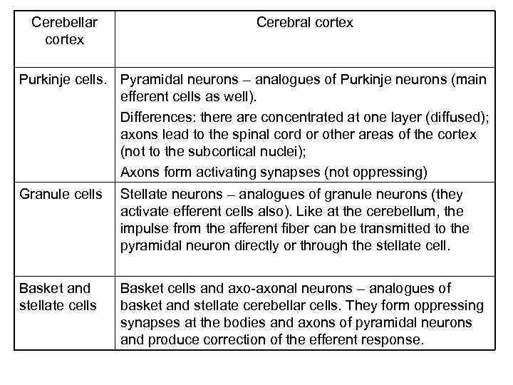Cerebellar cortex Cerebral cortex Purkinje cells. Pyramidal neurons – analogues of Purkinje neurons (main