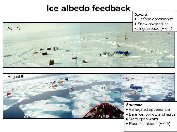 Ice albedo feedback April 17 Spring · Uniform appearance · Snow-covered ice ·Large albedo