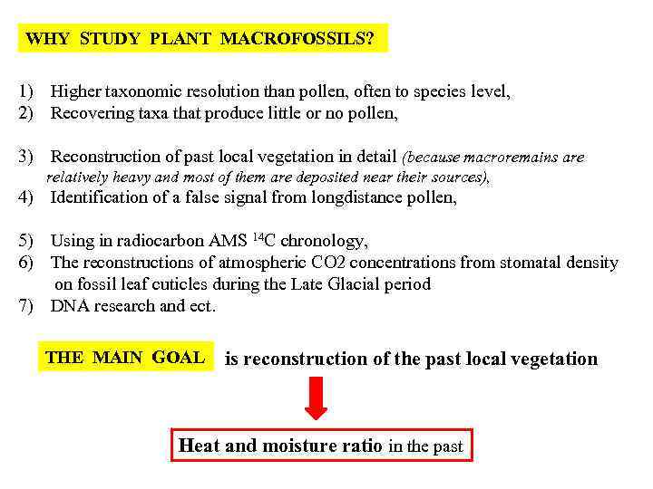 WHY STUDY PLANT MACROFOSSILS? 1) Higher taxonomic resolution than pollen, often to species level,