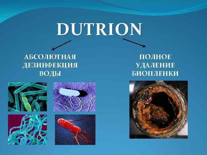 DUTRION АБСОЛЮТНАЯ ДЕЗИНФЕКЦИЯ ВОДЫ ПОЛНОЕ УДАЛЕНИЕ БИОПЛЕНКИ 