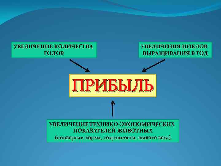 УВЕЛИЧЕНИЕ КОЛИЧЕСТВА ГОЛОВ УВЕЛИЧЕНИЯ ЦИКЛОВ ВЫРАЩИВАНИЯ В ГОД ПРИБЫЛЬ УВЕЛИЧЕНИЕ ТЕХНИКО-ЭКОНОМИЧЕСКИХ ПОКАЗАТЕЛЕЙ ЖИВОТНЫХ (конверсии