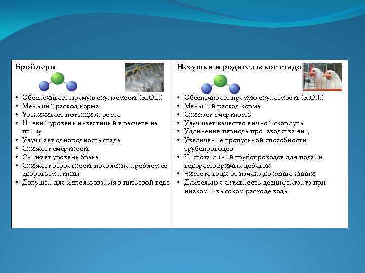 Бройлеры • • • Обеспечивает прямую окупаемость (R. O. I. ) Меньший расход корма