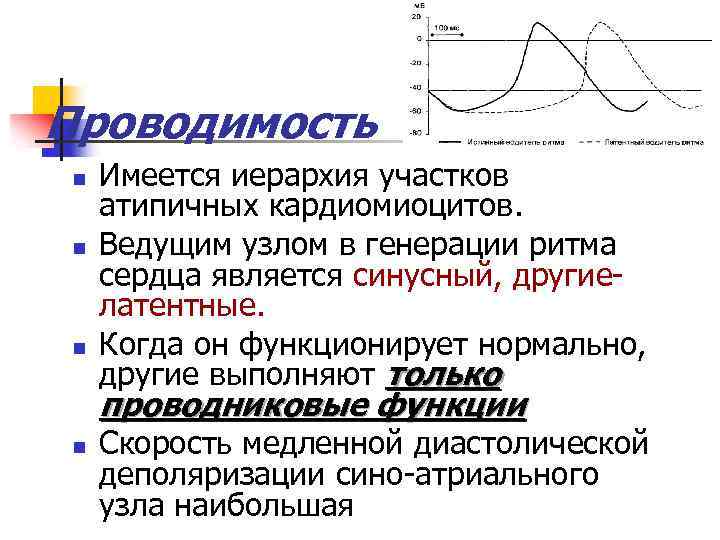 Проводимость n n n Имеется иерархия участков атипичных кардиомиоцитов. Ведущим узлом в генерации ритма