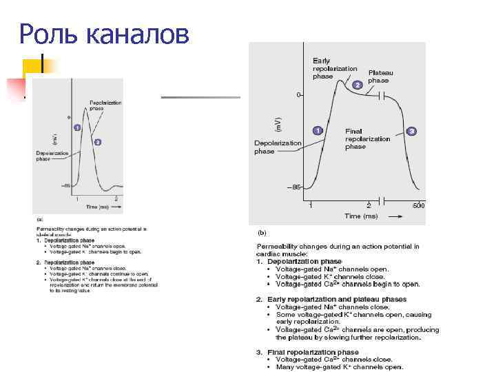 Роль каналов 