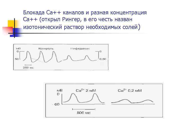 Блокада Ca++ каналов и разная концентрация Ca++ (открыл Рингер, в его честь назван изотонический