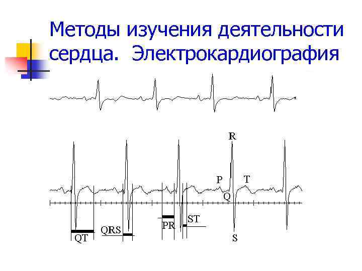 Методы изучения деятельности сердца. Электрокардиография 