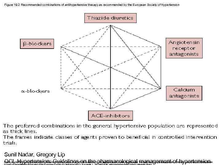 Figure 19. 2 Recommended combinations of antihypertensive therapy as recommended by the European Society
