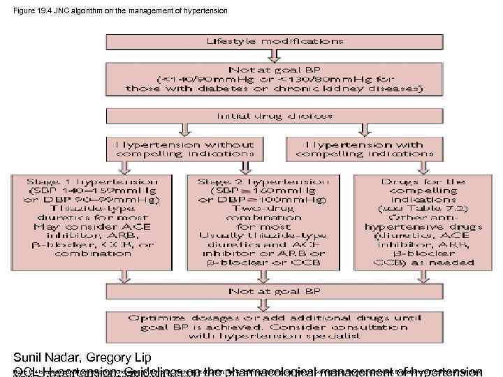 Figure 19. 4 JNC algorithm on the management of hypertension Sunil Nadar, Gregory Lip