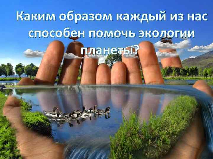 Каким образом каждый из нас способен помочь экологии планеты? 