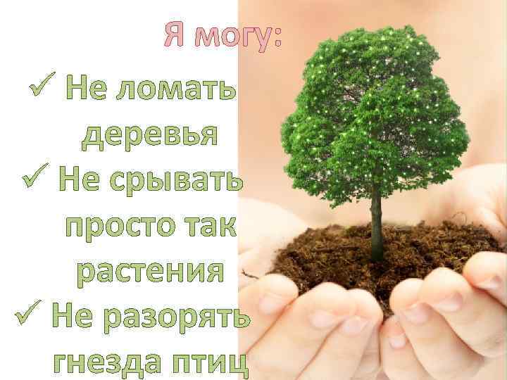 Я могу: 