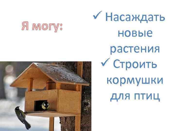 Я могу: ü Насаждать новые растения ü Строить кормушки для птиц 