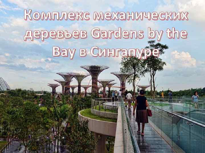 Комплекс механических деревьев Gardens by the Bay в Сингапуре 