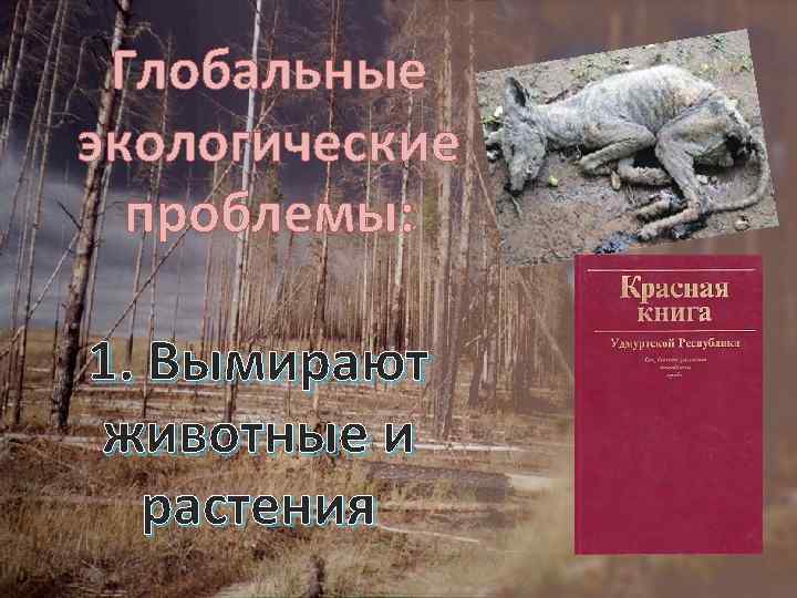 Глобальные экологические проблемы: 1. Вымирают животные и растения 