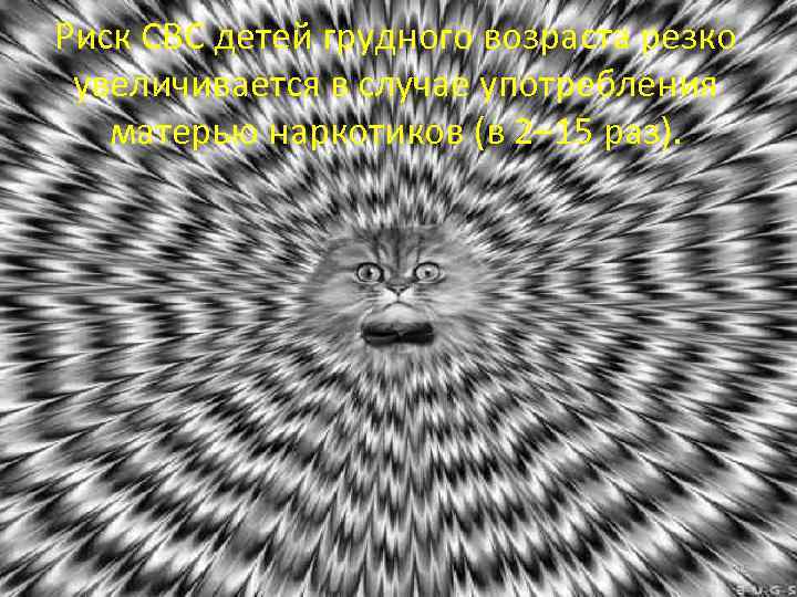 Риск СВС детей грудного возраста резко увеличивается в случае употребления матерью наркотиков (в 2–