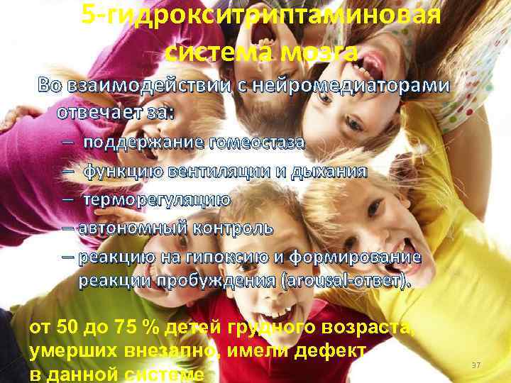 5 -гидрокситриптаминовая система мозга Во взаимодействии с нейромедиаторами отвечает за: – поддержание гомеостаза –