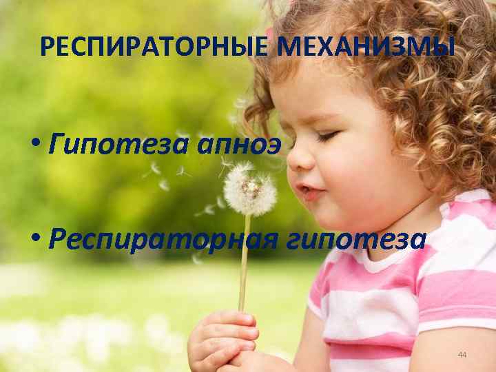РЕСПИРАТОРНЫЕ МЕХАНИЗМЫ • Гипотеза апноэ • Респираторная гипотеза 44 