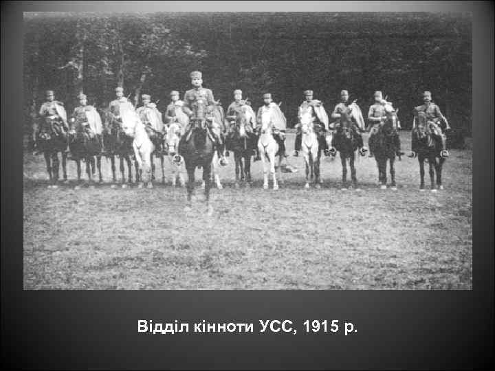 Відділ кінноти УСС, 1915 р. 