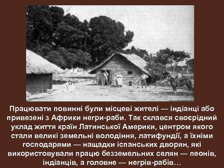 Працювати повинні були місцеві жителі — індіанці або привезені з Африки негри-раби. Так склався