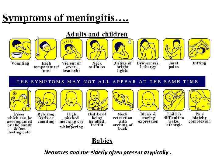 Symptoms of meningitis…. Adults and children Babies Neonates and the elderly often present atypically.