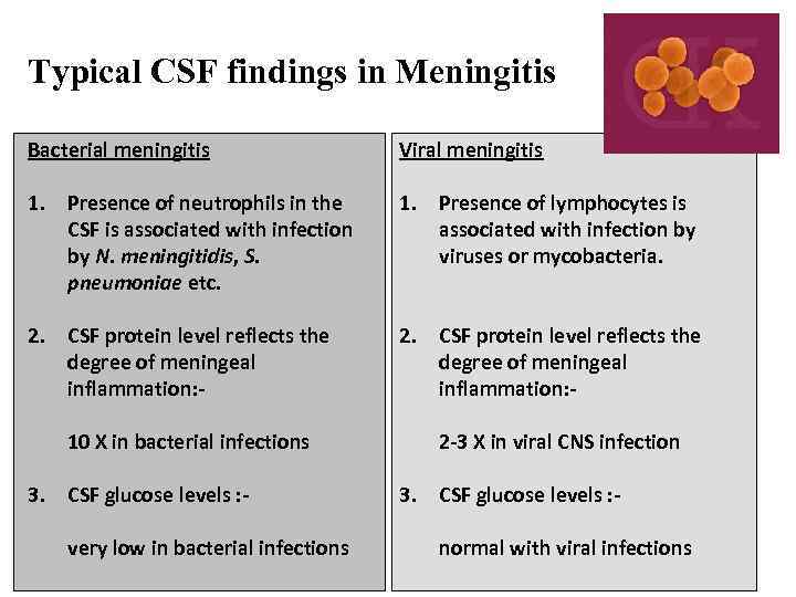 Typical CSF findings in Meningitis Bacterial meningitis Viral meningitis 1. Presence of neutrophils in