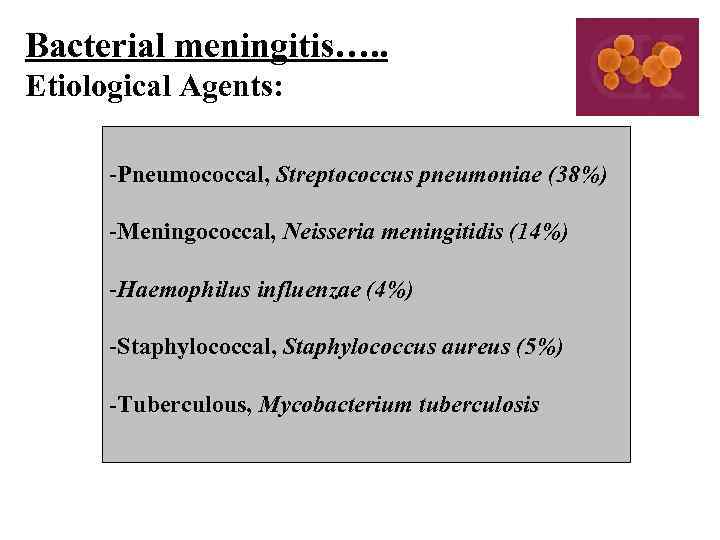 Bacterial meningitis…. . Etiological Agents: -Pneumococcal, Streptococcus pneumoniae (38%) -Meningococcal, Neisseria meningitidis (14%) -Haemophilus