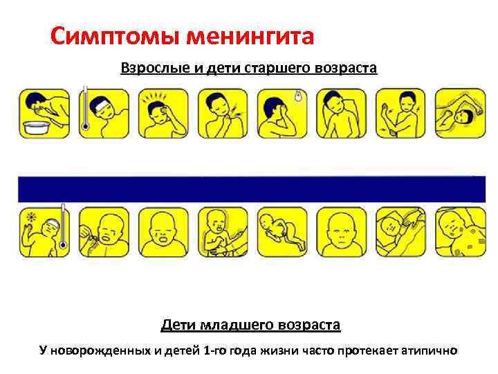 Симптомы менингита Взрослые и дети старшего возраста Дети младшего возраста У новорожденных и детей