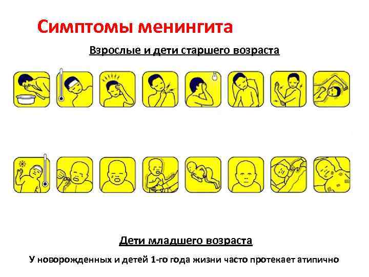 Симптомы менингита Взрослые и дети старшего возраста Дети младшего возраста У новорожденных и детей