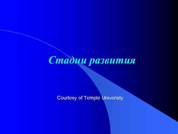 Стадии развития Courtesy of Temple University 