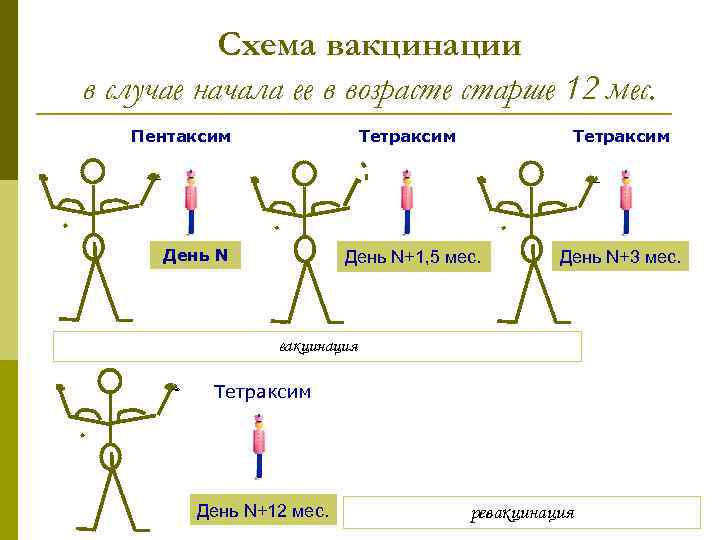 Схема вакцинации в случае начала ее в возрасте старше 12 мес. Тетраксим Пентаксим День