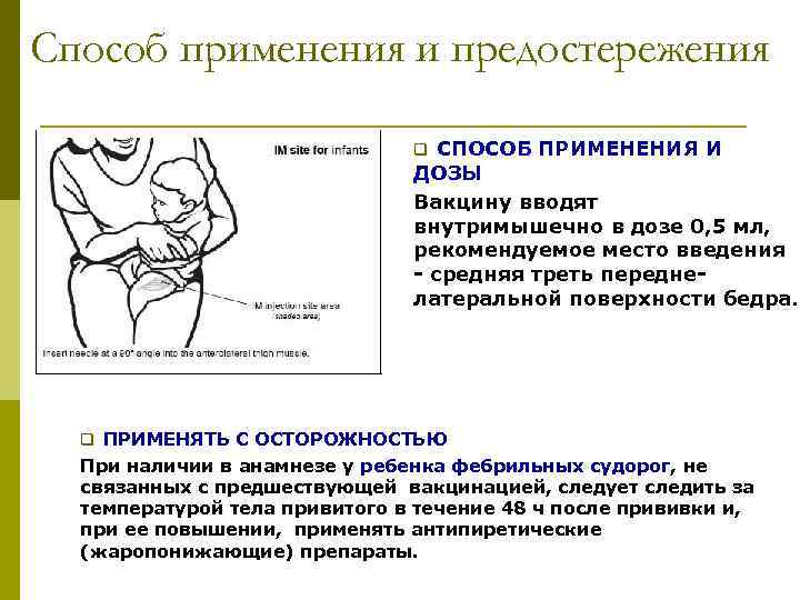 Cпособ применения и предостережения q СПОСОБ ПРИМЕНЕНИЯ И ДОЗЫ Вакцину вводят внутримышечно в дозе