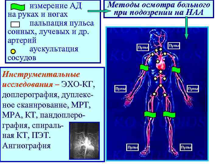 Системные заболевания соединительной ткани у детей презентация