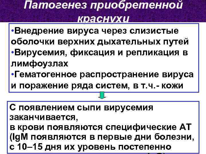 Патогенез приобретенной краснухи • Внедрение вируса через слизистые оболочки верхних дыхательных путей • Вирусемия,