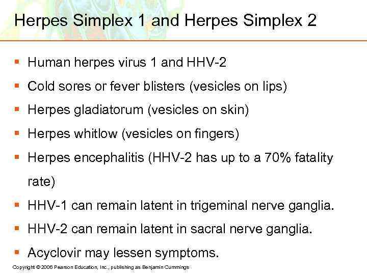 Herpes Simplex 1 and Herpes Simplex 2 § Human herpes virus 1 and HHV-2