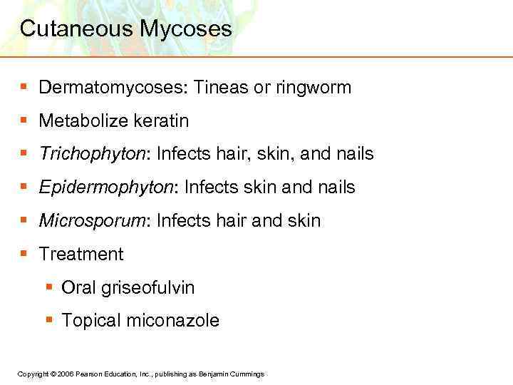 Cutaneous Mycoses § Dermatomycoses: Tineas or ringworm § Metabolize keratin § Trichophyton: Infects hair,