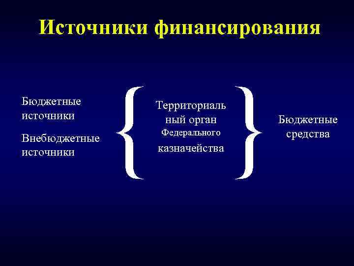 Источники финансирования Бюджетные источники Внебюджетные источники { } Территориаль ный орган Федерального казначейства Бюджетные