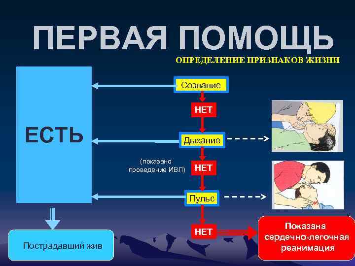 ПЕРВАЯ ПОМОЩЬ ОПРЕДЕЛЕНИЕ ПРИЗНАКОВ ЖИЗНИ Сознание НЕТ ЕСТЬ Дыхание (показано проведение ИВЛ) НЕТ Пульс