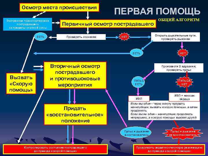 Последовательность осмотра пострадавшего находящегося в сознании. Алгоритм осмотра пострадавшего. Алгоритм вторичного осмотра пострадавшего. Алгоритм первичного осмотра пострадавшего. Алгоритм осмотра пострадавшего на месте происшествия.