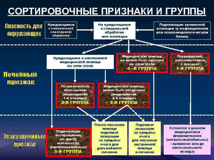 СОРТИРОВОЧНЫЕ ПРИЗНАКИ И ГРУППЫ Нуждающиеся в специальной санитарной) обработке Не нуждающиеся в специальной обработке