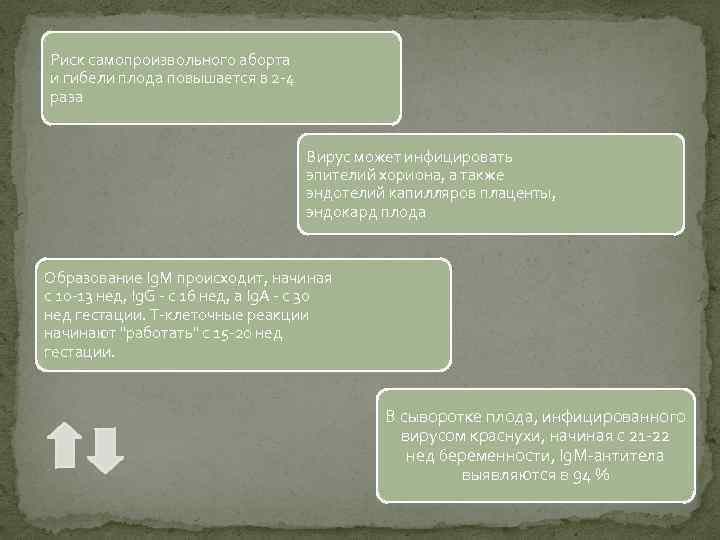 Риск самопроизвольного аборта и гибели плода повышается в 2 -4 раза Вирус может инфицировать