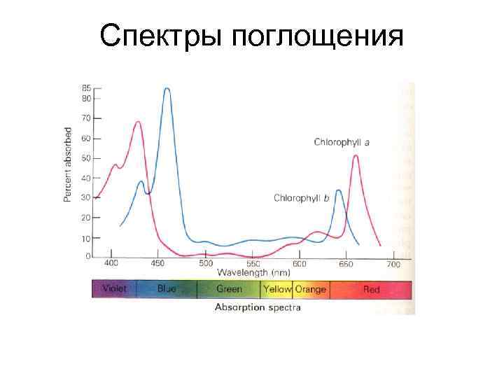 Спектры поглощения 