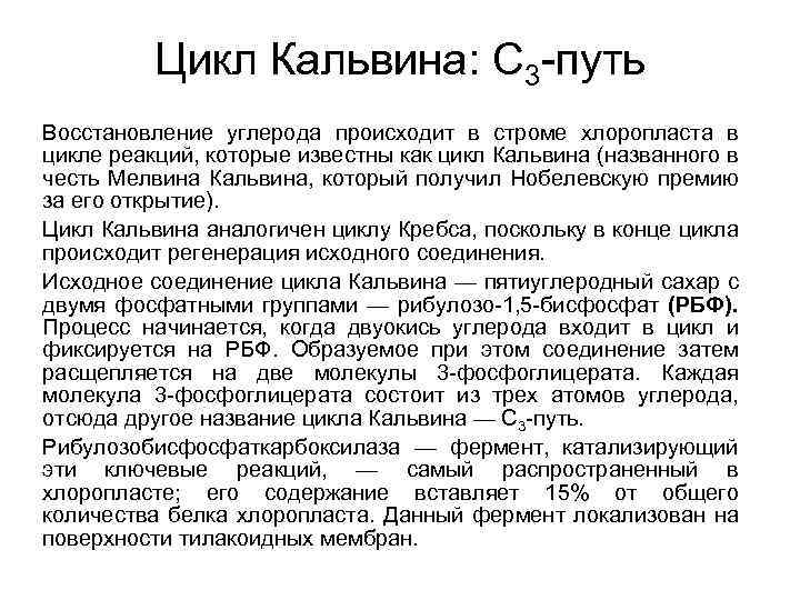 Цикл Кальвина: С 3 путь Восстановление углерода происходит в строме хлоропласта в цикле реакций,