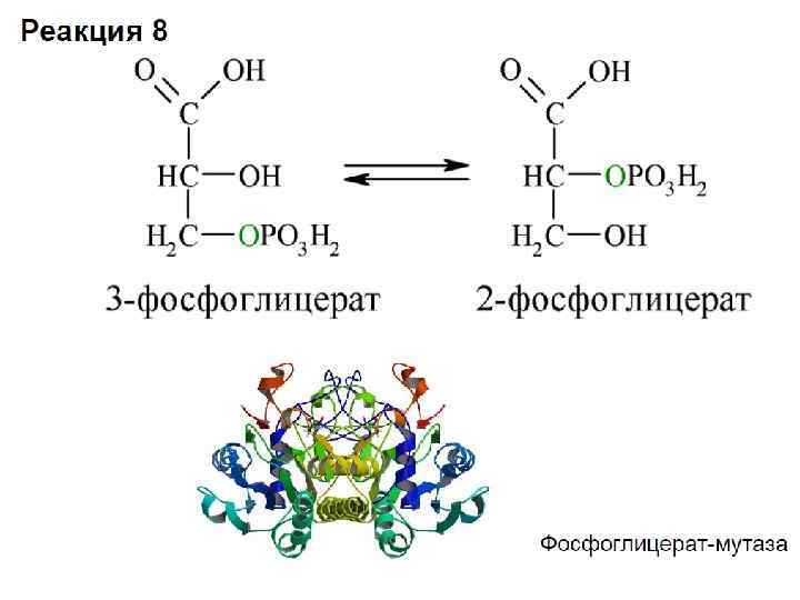 Фосфоглицерр капсулы отзывы