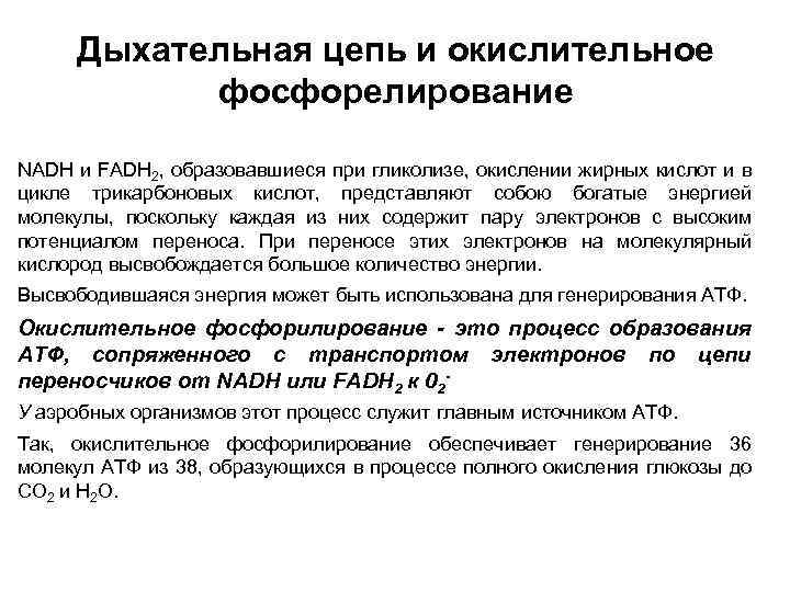 Дыхательная цепь и окислительное фосфорелирование NADH и FADH 2, образовавшиеся при гликолизе, окислении жирных