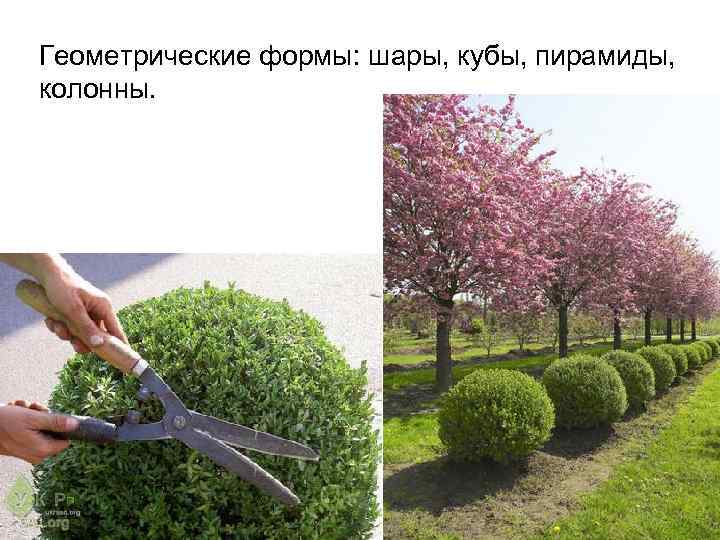 Геометрические формы: шары, кубы, пирамиды, колонны. 