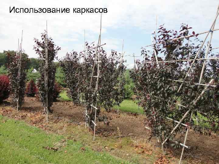 Использование каркасов 